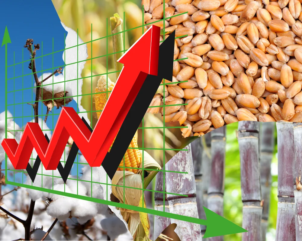 crop prices in pakistan