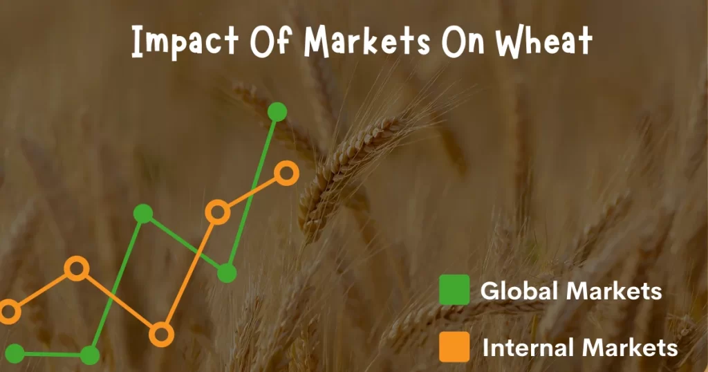 wheat price in pakistan today