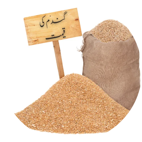 wheat price in pakistan