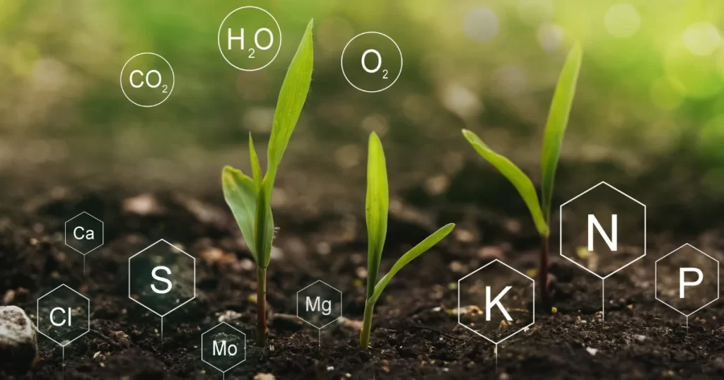 types of fertilizers