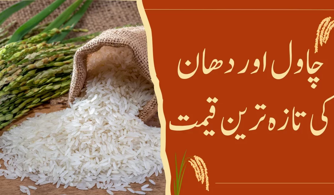 Today Rice Price in Pakistan