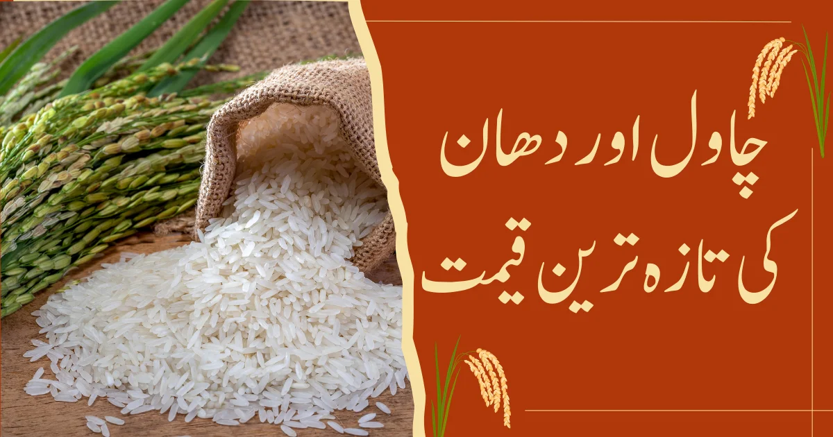 Today Rice Price in Pakistan