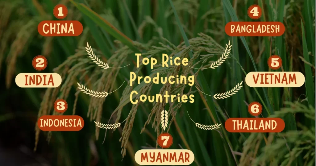 Top Rice Producing Countries 1