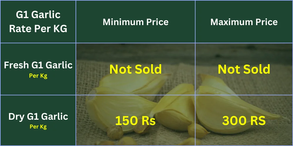 narc g1 garlic price in pakistan