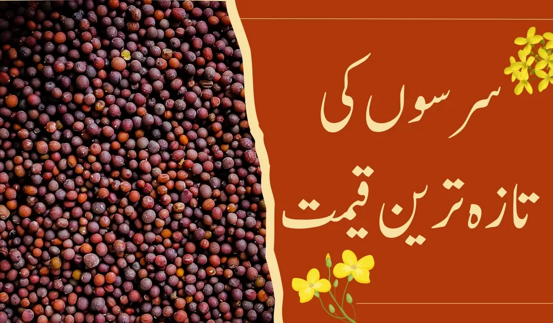 mustard price in pakistan