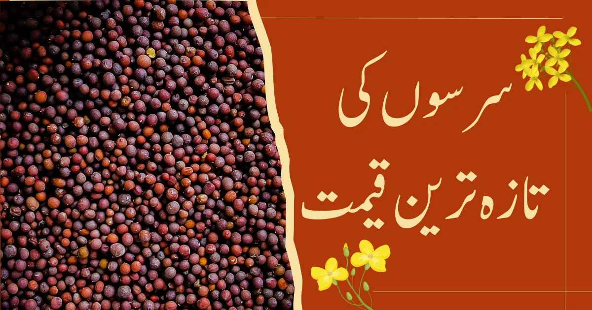 mustard price in pakistan