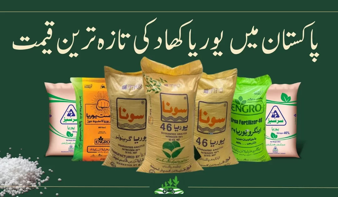 Urea Price in Pakistan Today | Sona Urea, Engro Urea, Sarsabz Urea