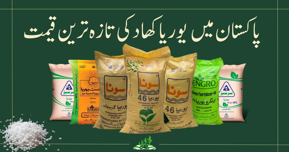 urea price in pakistan