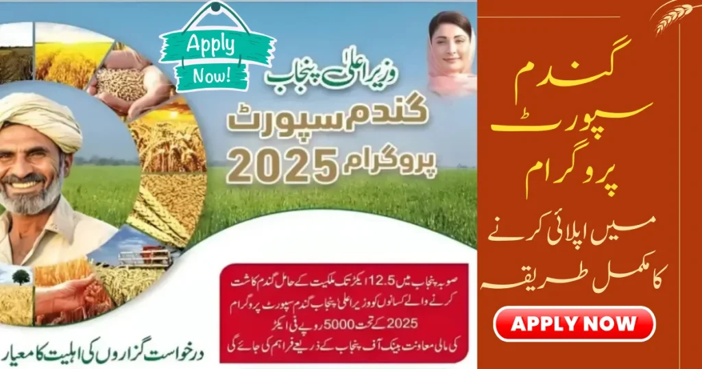 CM Punjab Wheat Support Program 2025 1 CM Punjab Wheat Support Program 2025