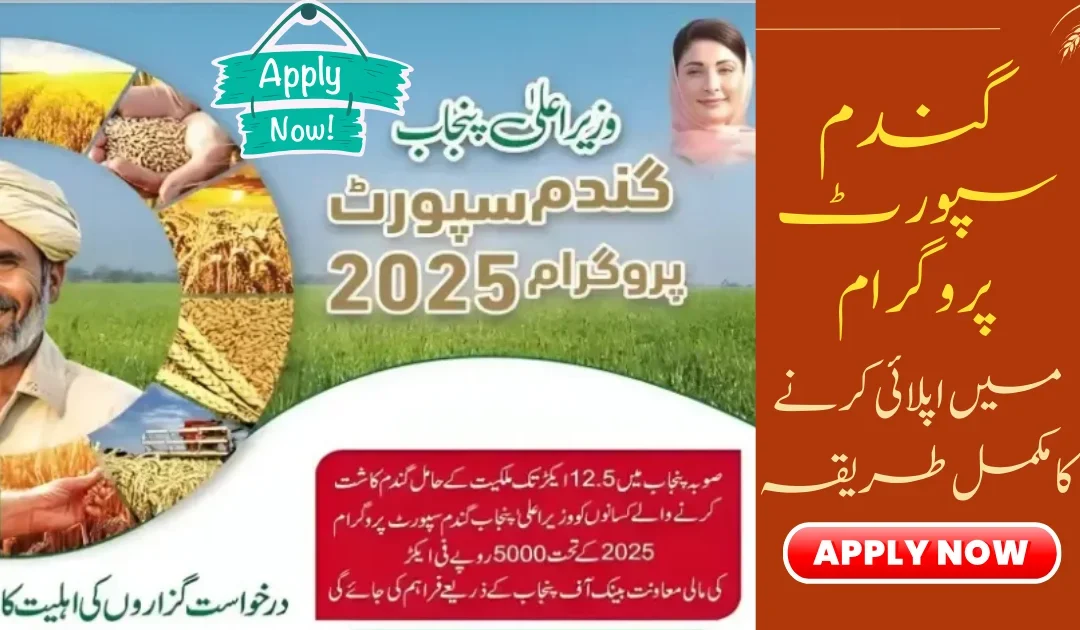 CM Punjab Wheat Support Program 2025